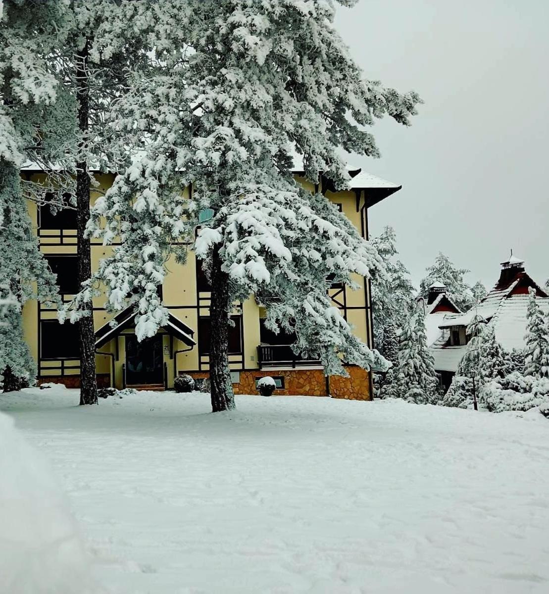 Ferienwohnung Matija Lux Konaci Zlatibor Exterior foto